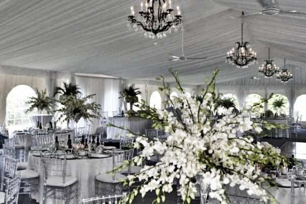 Full-Ceiling-Liner-with-Chandeliers-and-Ceiling-Fans-min