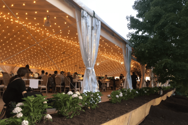 Premier Event Tent Rentals - Wedding Tents - Gallery - 2023 – 5-min
